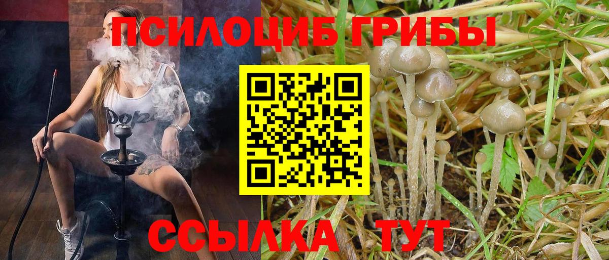 Псилоцибиновые грибы мухоморы Реж